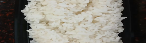 Small Rice Ala Carte
